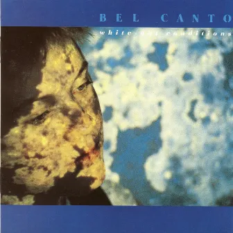 White-Out Conditions by bel canto