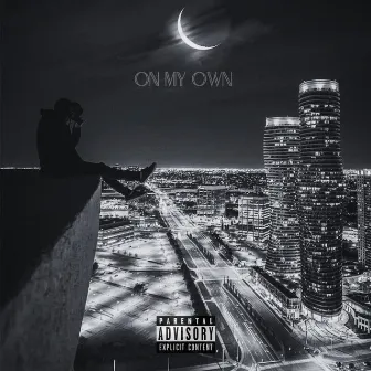 On My Own by V-Dot the Spiteful Kid