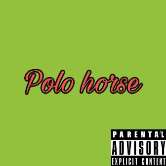 Polo Horse by B Hamp