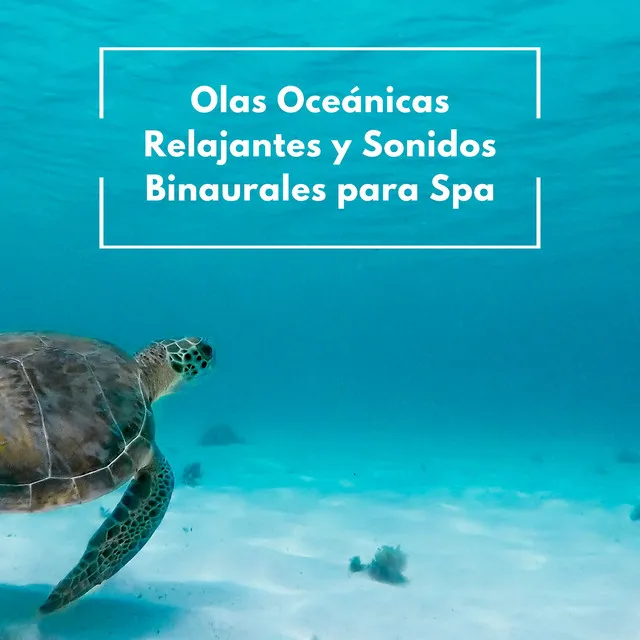 Olas Oceánicas Relajantes Y Sonidos Binaurales Para Spa