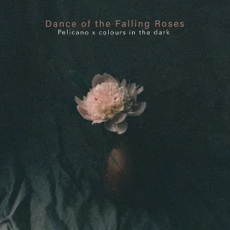 Dance of the Falling Roses by Pelicano