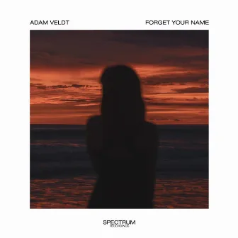 Forget Your Name by Adam Veldt