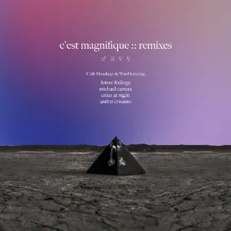 C'est Magnifique Remixes by Club Manchego