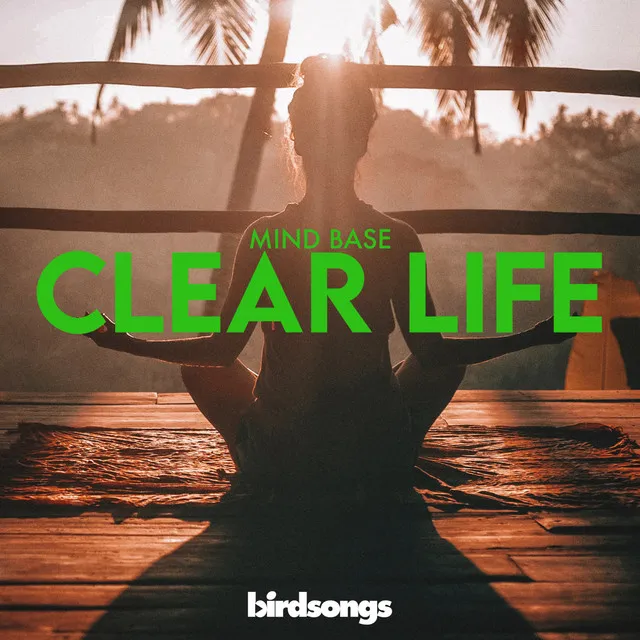 Clear Life