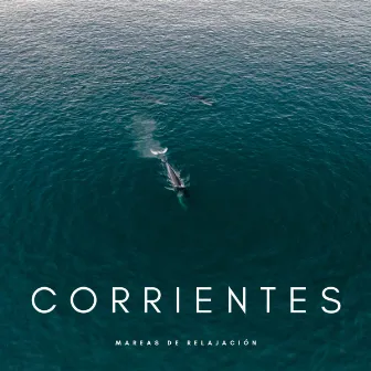 Corrientes: Mareas De Relajación by Estudiando Música