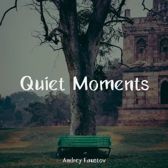 Quiet Moments by Andrey Faustov