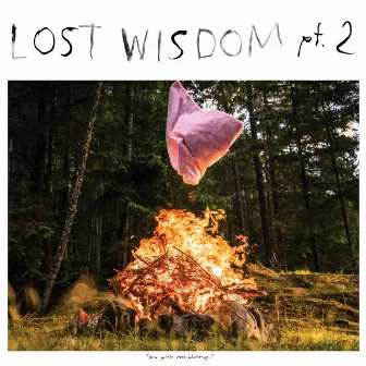 Lost Wisdom, Pt. 2 by Mount Eerie