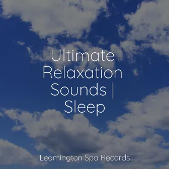 Ultimate Relaxation Sounds | Sleep by Sleep Tight