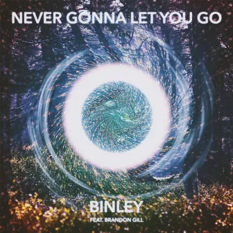 Never Gonna Let You Go (feat. Brandon Gill) by Binley