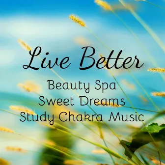 Live Better - Beauty Spa Sweet Dreams Study Chakra Music for Soft Life Mind Exercises and Natural Treatment by Unknown Artist