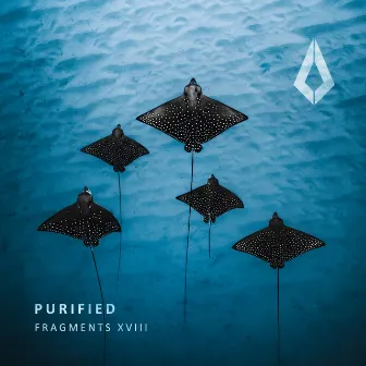 Purified Fragments XVIII by FJ9