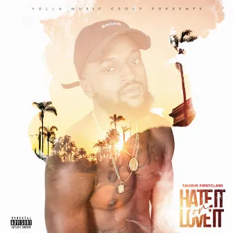 Hate It or Love It by Taurus First Class