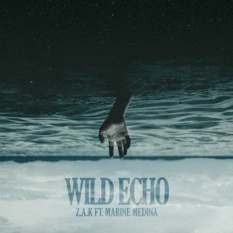 Wild Echo by Marine Medina