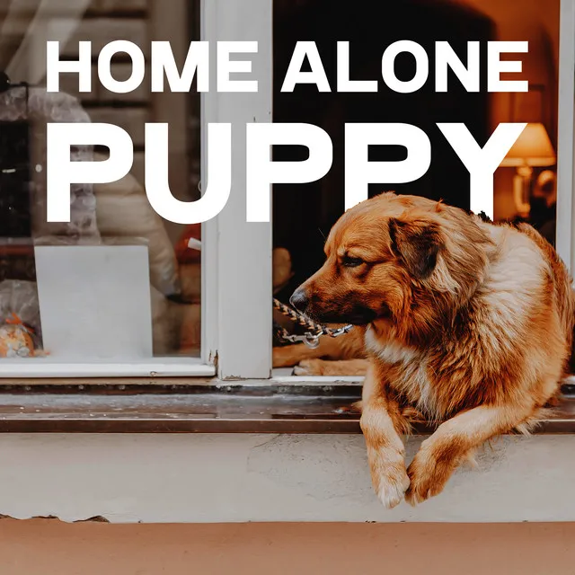 Home Alone Puppy: Good Dog Music for Soothing Your Pet