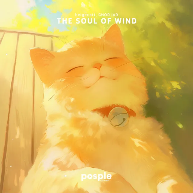 The Soul of Wind