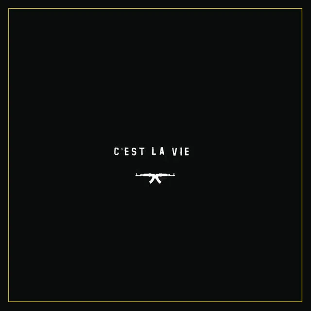 C'est la vie (feat. MellemFingaMuzik)