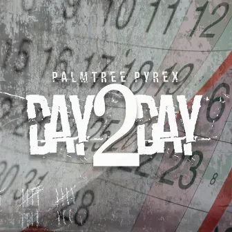 Day 2 Day by Palmtree Pyrex