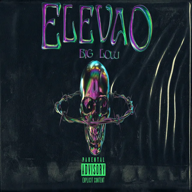 Elevao