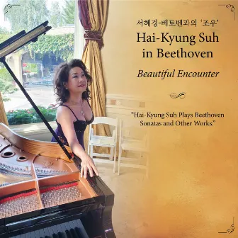 Beethoven - Beautiful Encounter by Hai-Kyung Suh