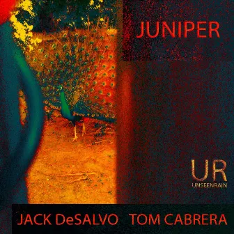 Juniper by Jack De Salvo