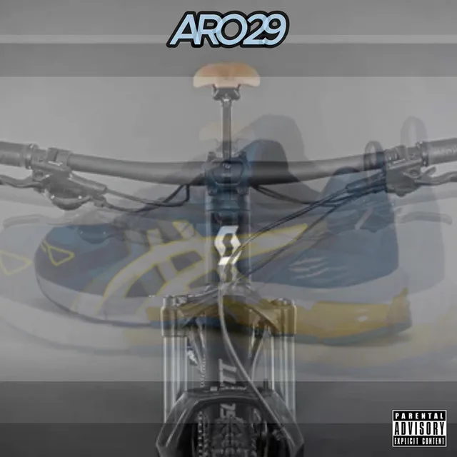 Aro 29