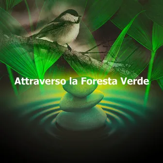 Attraverso la Foresta Verde by Club di Relax Mentale