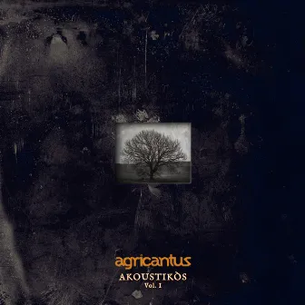 Akoustikòs, Vol. 1 by Agricantus