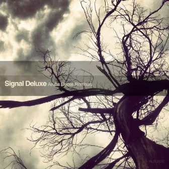 Aruba Deceit Remixes by Signal Deluxe