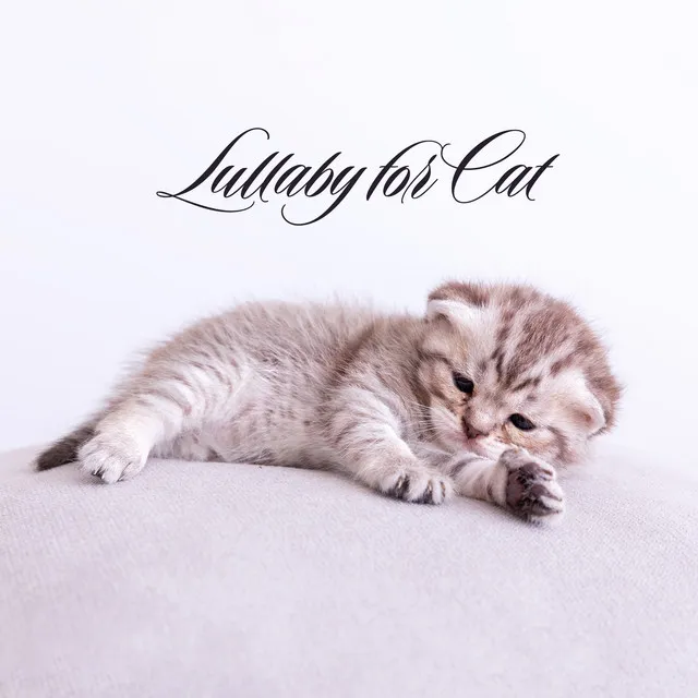 Lullaby for Cat (Gentle Music for Stress and Sleep)