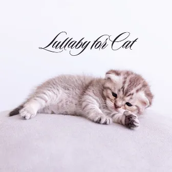 Lullaby for Cat (Gentle Music for Stress and Sleep) by Pet Music Academy