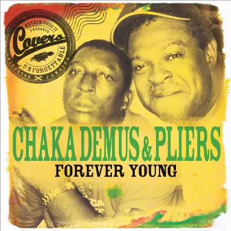 Forever Young by Pliers