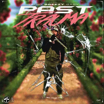 Past Trauma by Young Breezy Baby