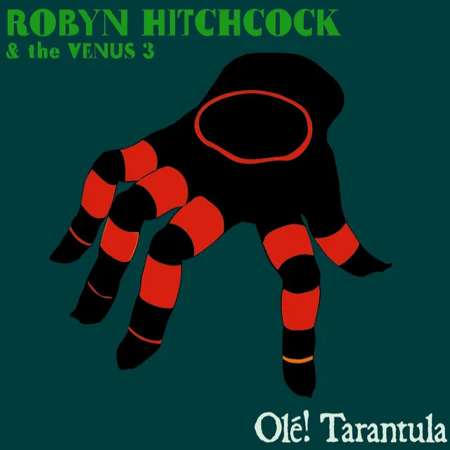 Olé! Tarantula