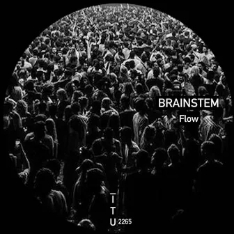 Flow by BrainStem