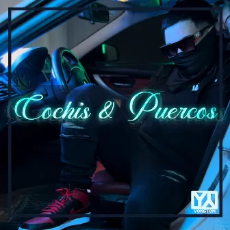 Cochis & Puercos by Yonston