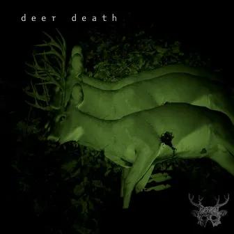 Next Death by deer death