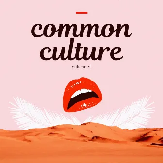 Common Culture, Vol. VI by Connor Franta