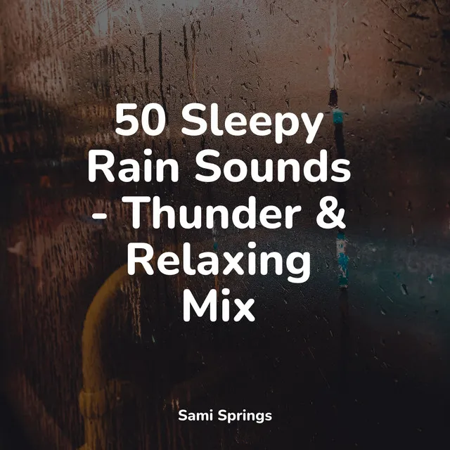 50 Sleepy Rain Sounds - Thunder & Relaxing Mix