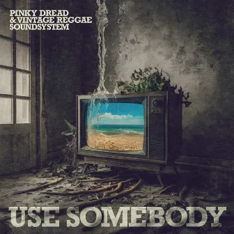 Use Somebody by Pinky Dread