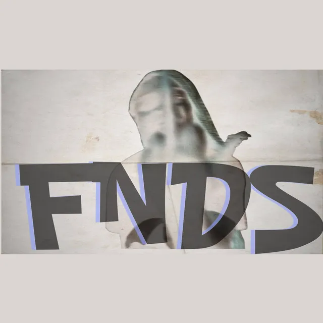 FNDS