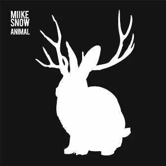 Animal by Miike Snow