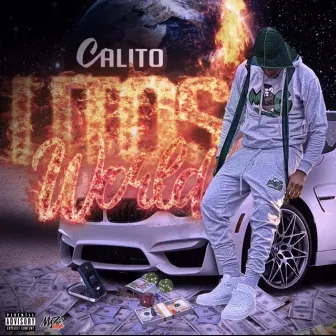 LITOS WORLD by Calito