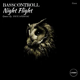 Night Flight by Basscontroll