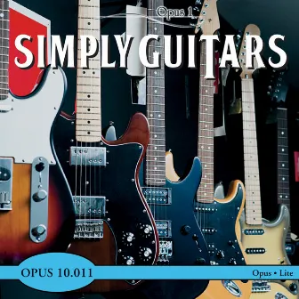 Simply Guitars by Richard Hardelstein