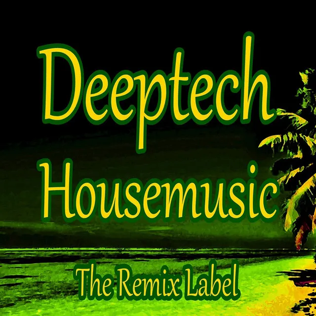 Deeptech Housemusic - WEmixer DeejayFriendly Dub Techno Meets Deep Acid House Music DJ Mix