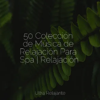 50 Colección de Música de Relajación Para Spa | Relajación by Canción de Cuna