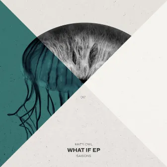 What If by Maty Owl