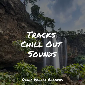 Tracks Chill Out Sounds by Big Sounds