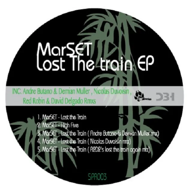 Lost the train - Nicolas Duvoisin Rmx