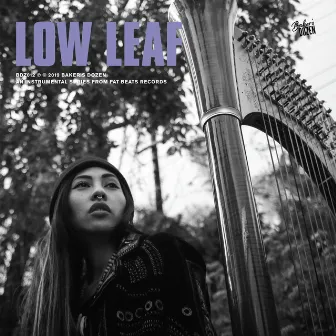 Baker's Dozen: Low Leaf by Low Leaf